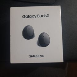 Samsung Galaxy Buds 2