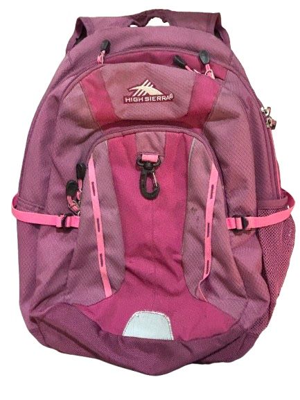 High Sierra Backpack