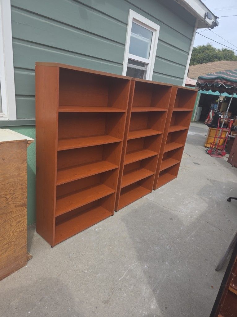 Storage Shelves/Bookcase 