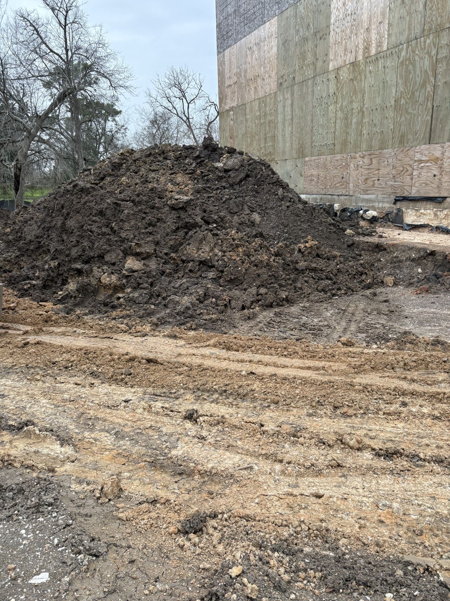 Dirt In Pasadena Tx