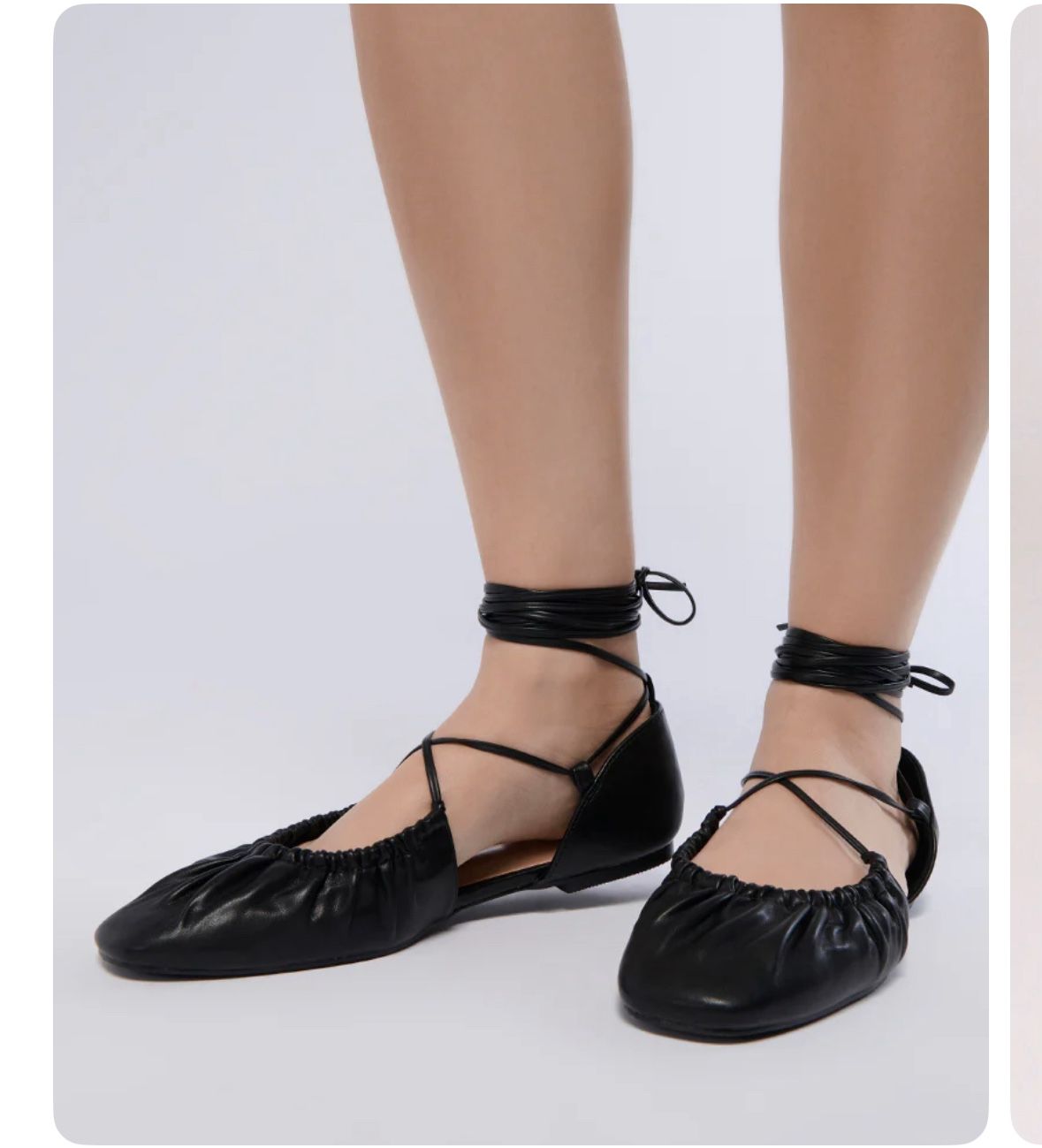 Brand New Flats