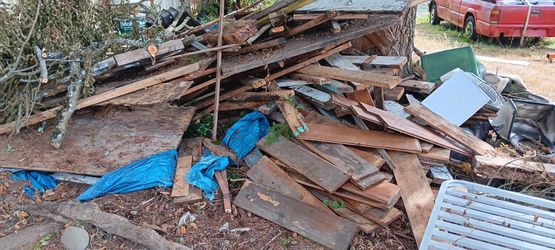 Scrap lumber/firewood