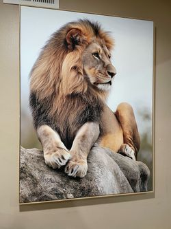 Lion Painting 3.5ft by 4.5ft