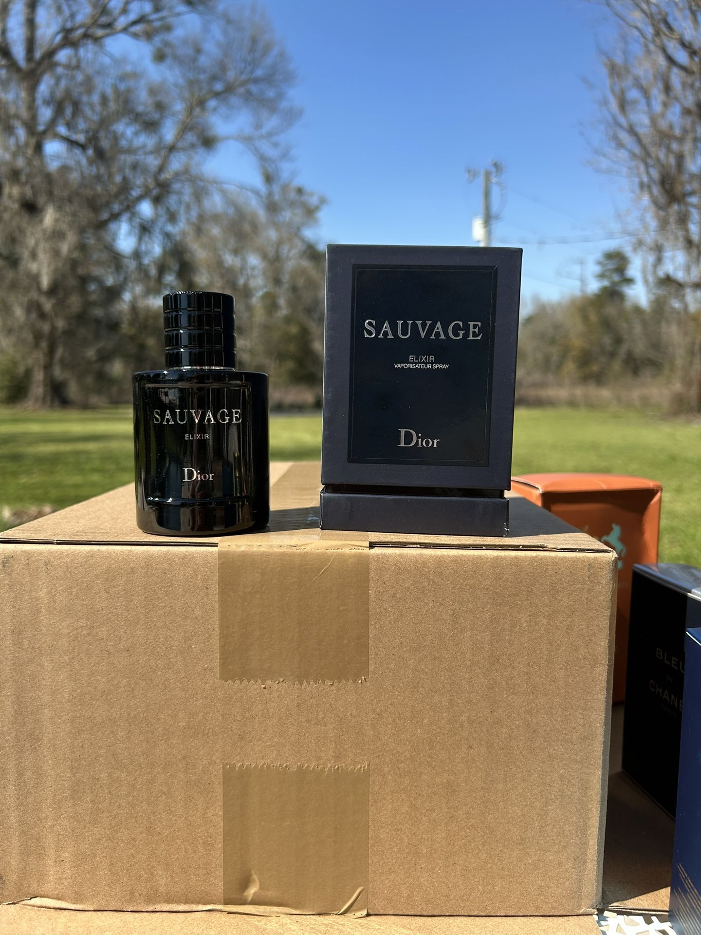 Dior Savauge Elixir