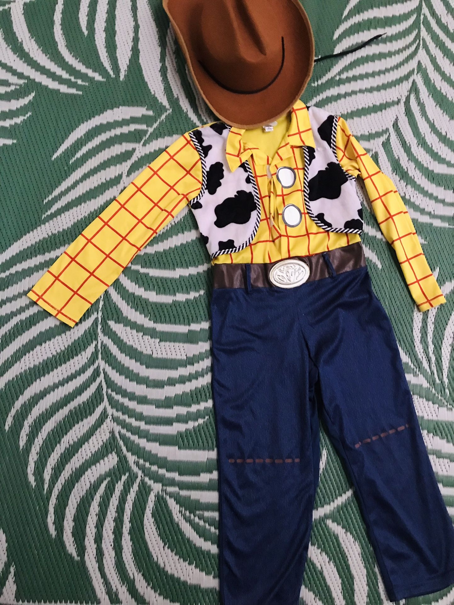 Woody Costume 