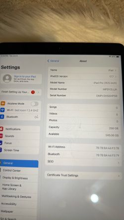 Beautiful iPad Pro 10.5 inches 256gb