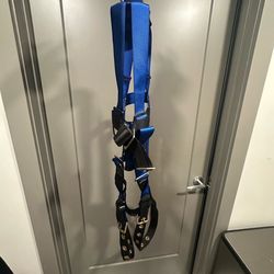 Harness and yoyo