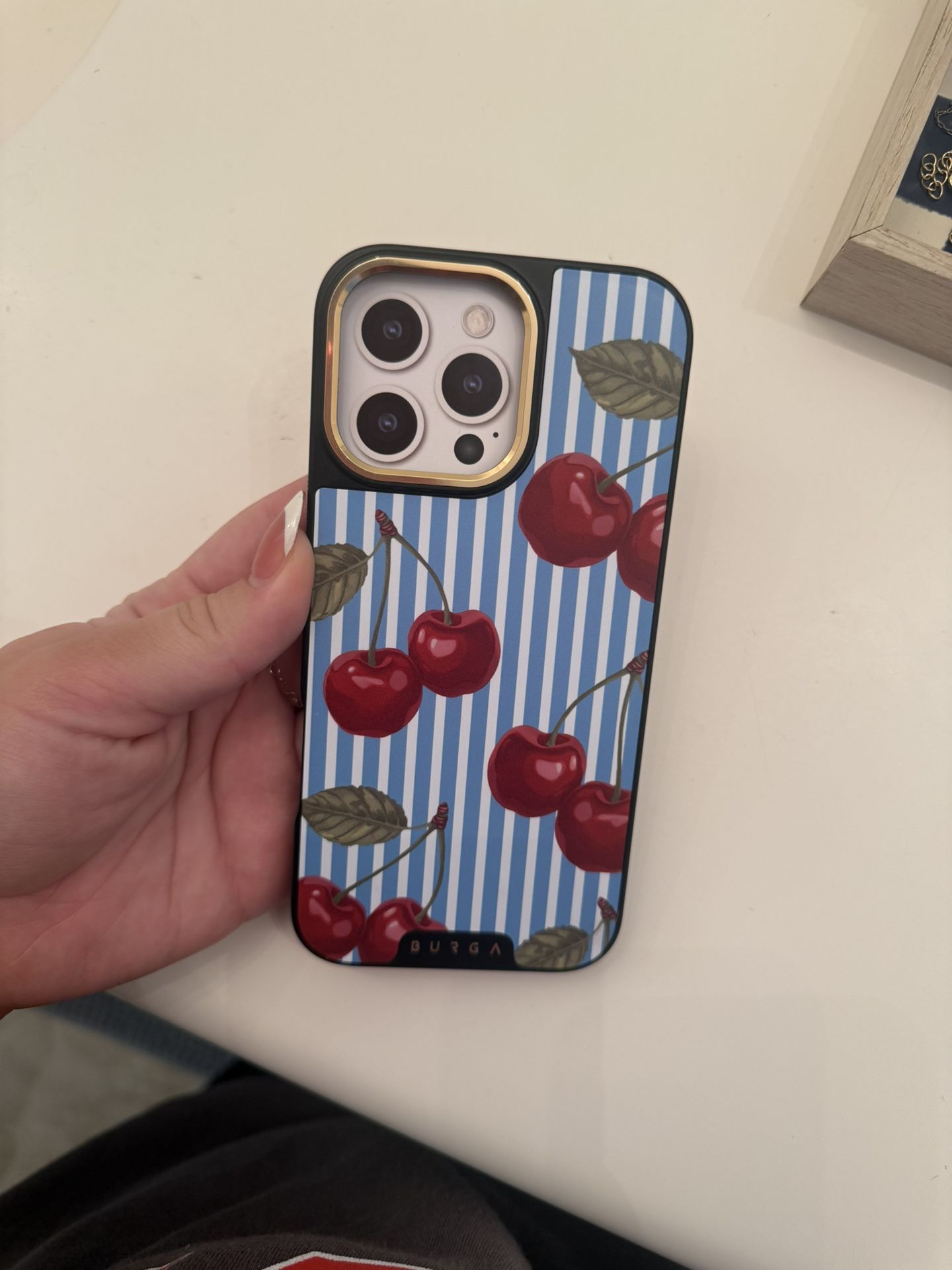Burga Case