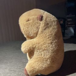 Cute Capybara Plushy