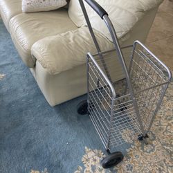 Shopping Cart Fold Up Metal Singer Island 