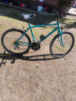 Men's Roadmaster 26" Bike