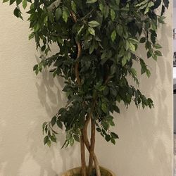 10” Beautiful Tree