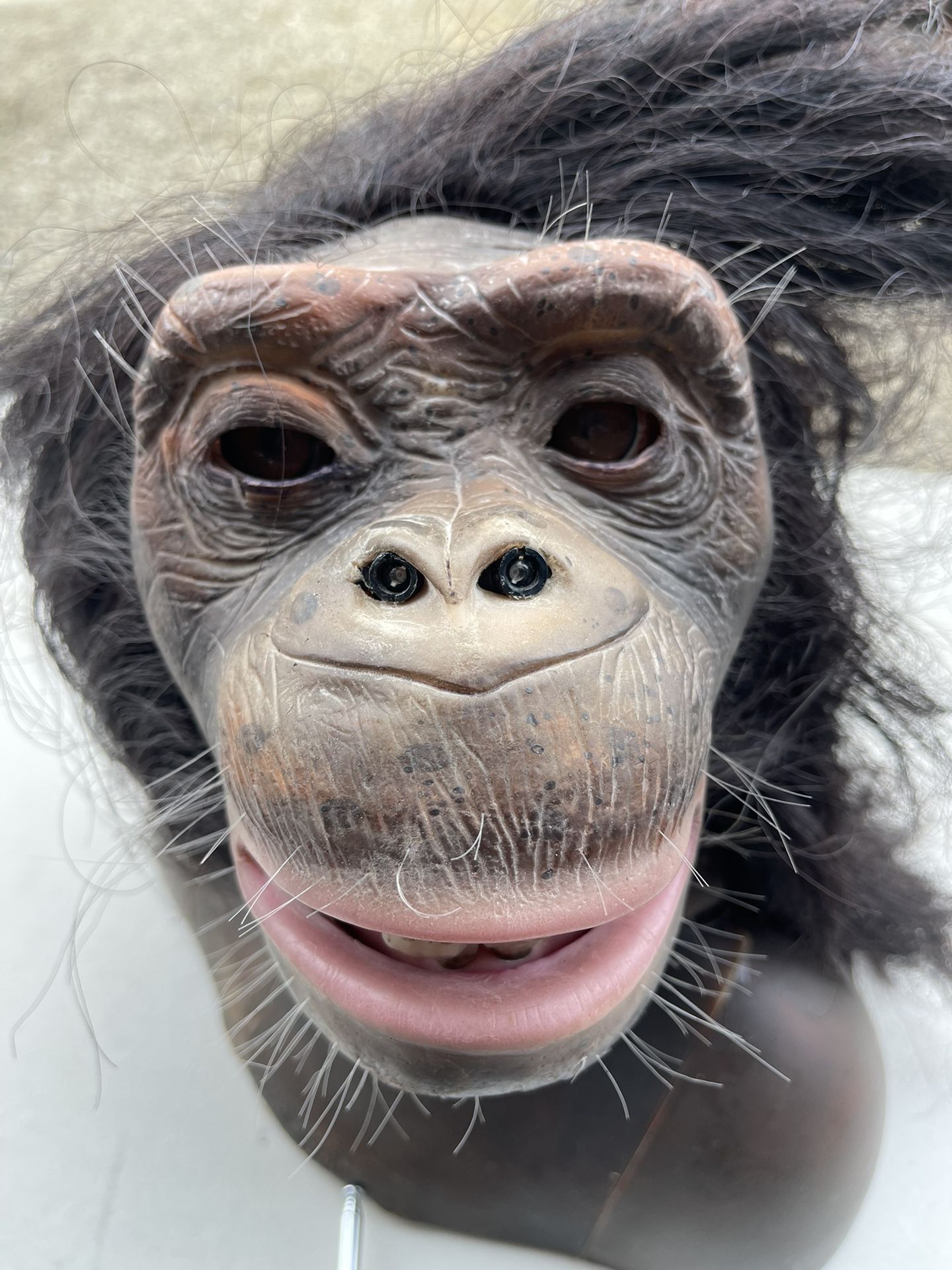 Chimpancé Colleccionble