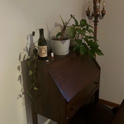 Plants For Sale