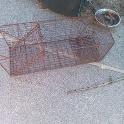 MEDIUM SIZED TRAP