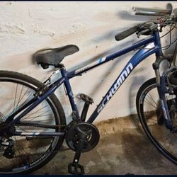 Schwinn BIKE BLUE