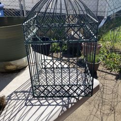 Birdcage decor
