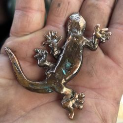 Lagartija De Cobre