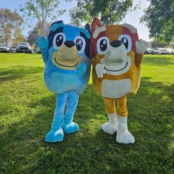 ANIMACION DE FIESTAS 