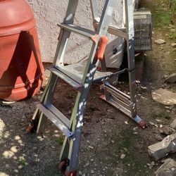 Little Giant multi-position ladder. This type of ladder is known for its versatility 