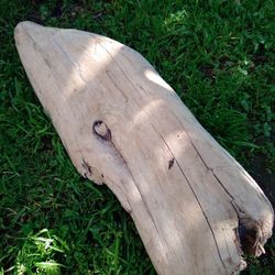 Natural Driftwood Aquariums Terrariums Decor . 