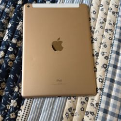 iPad 5th Gen