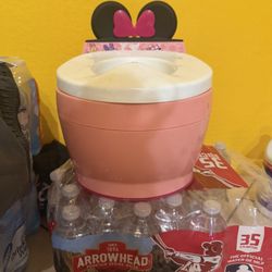 Minnie Mouse Toilet 