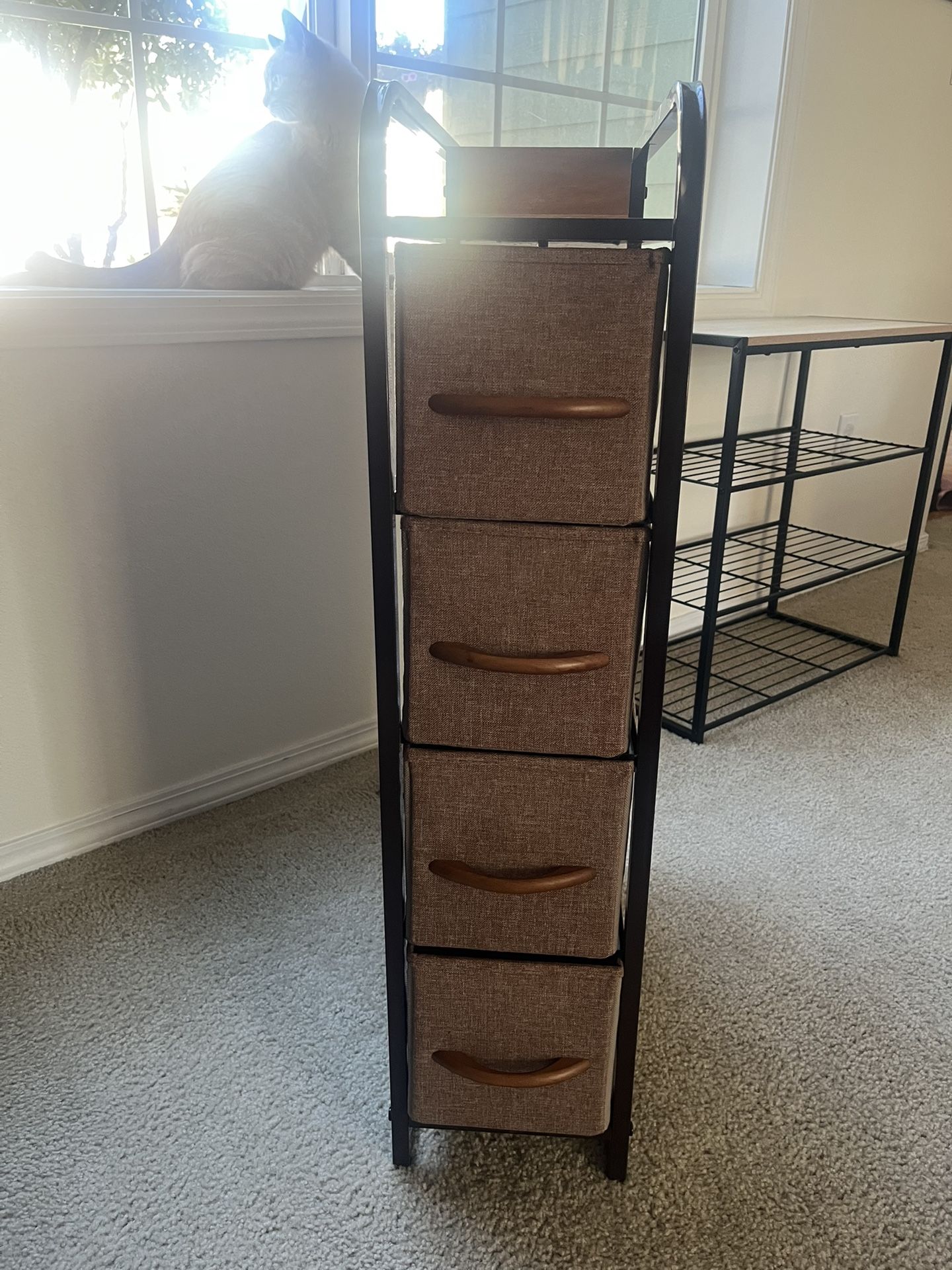 Slim Steel Frame Organizer Dresser