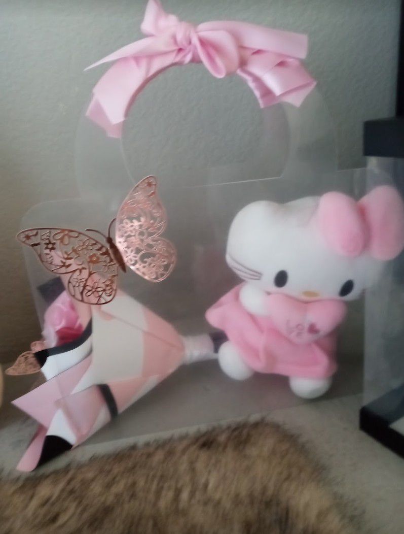 Hello Kitty Gift 🎁