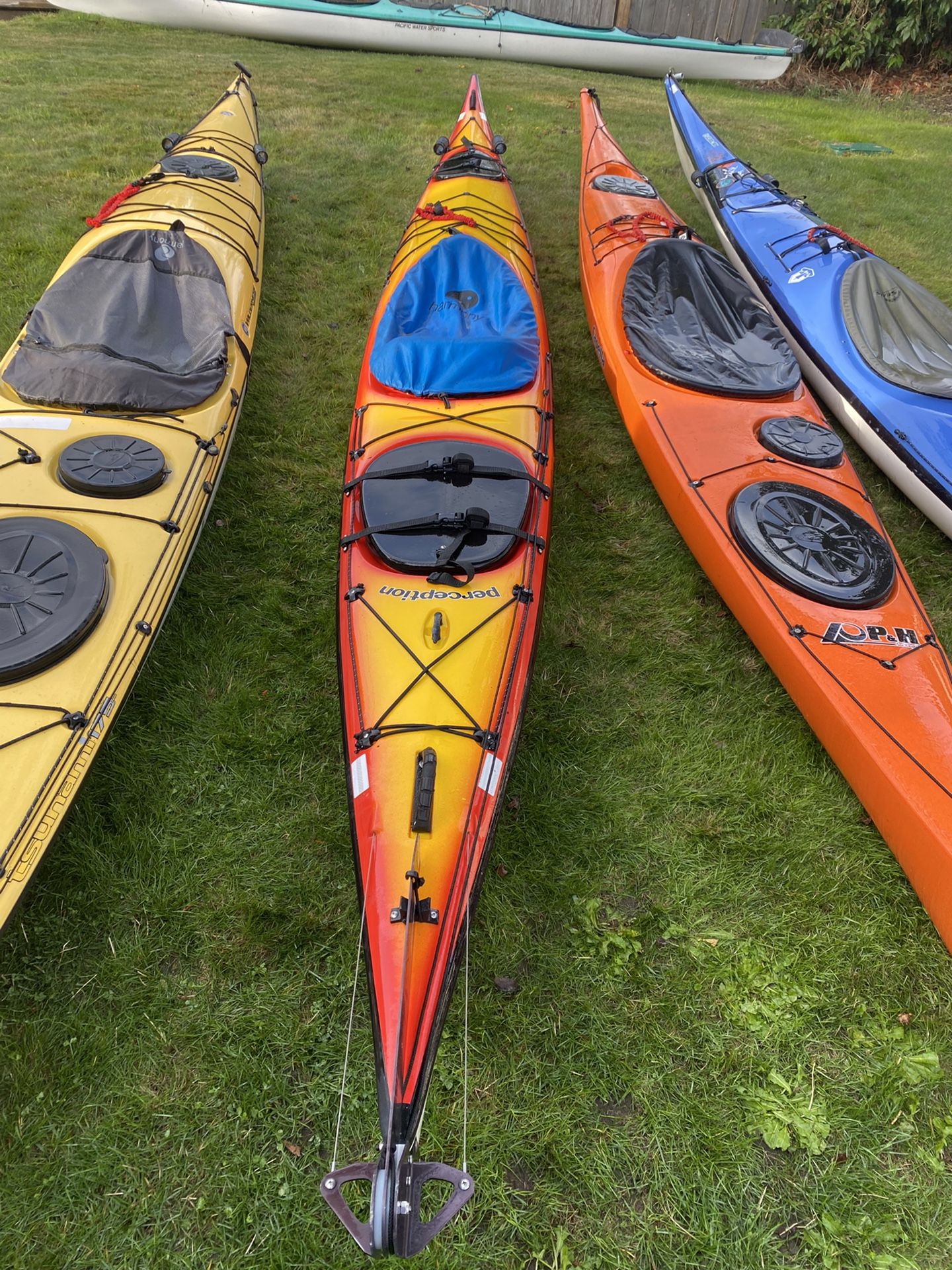Perception Eclipse Sea Lion Fiberglass Kayak for Sale in WA