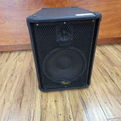 Squire by  Fender loudspeaker