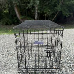 iCrate Dog Kennel