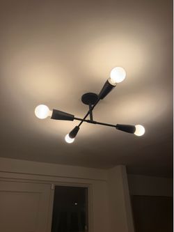 Rejuvenation Light Fixture