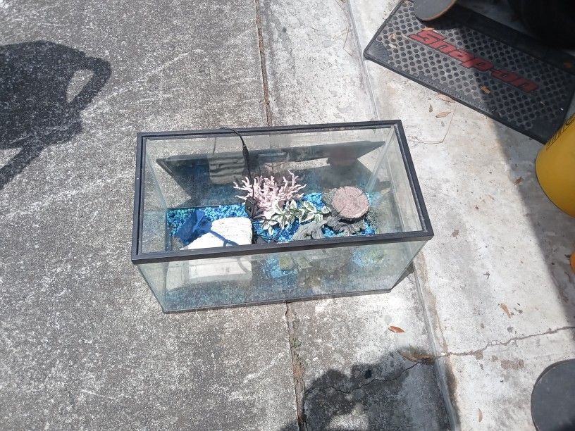 Fish Tank