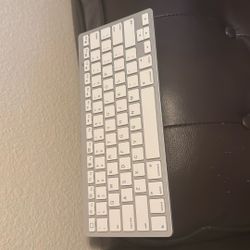 bluetooth keyboard +mouse 