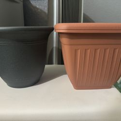 Plant Pots 
