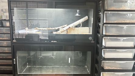 PVC reptile enclosure/ terrarium