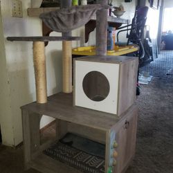 Barely Used Cat Play