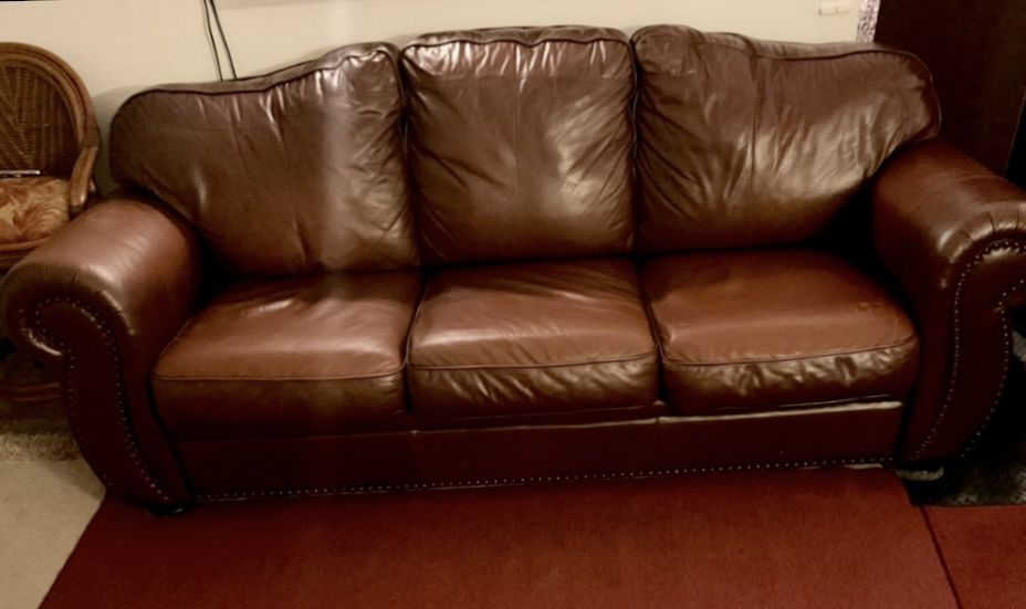 Leather Sofabed  BEST OFFER