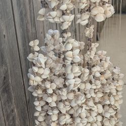 Shell Chandelier