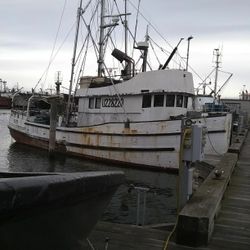Commercial Tuna or Salmon Fishing Boat 