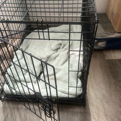 medium dog crate