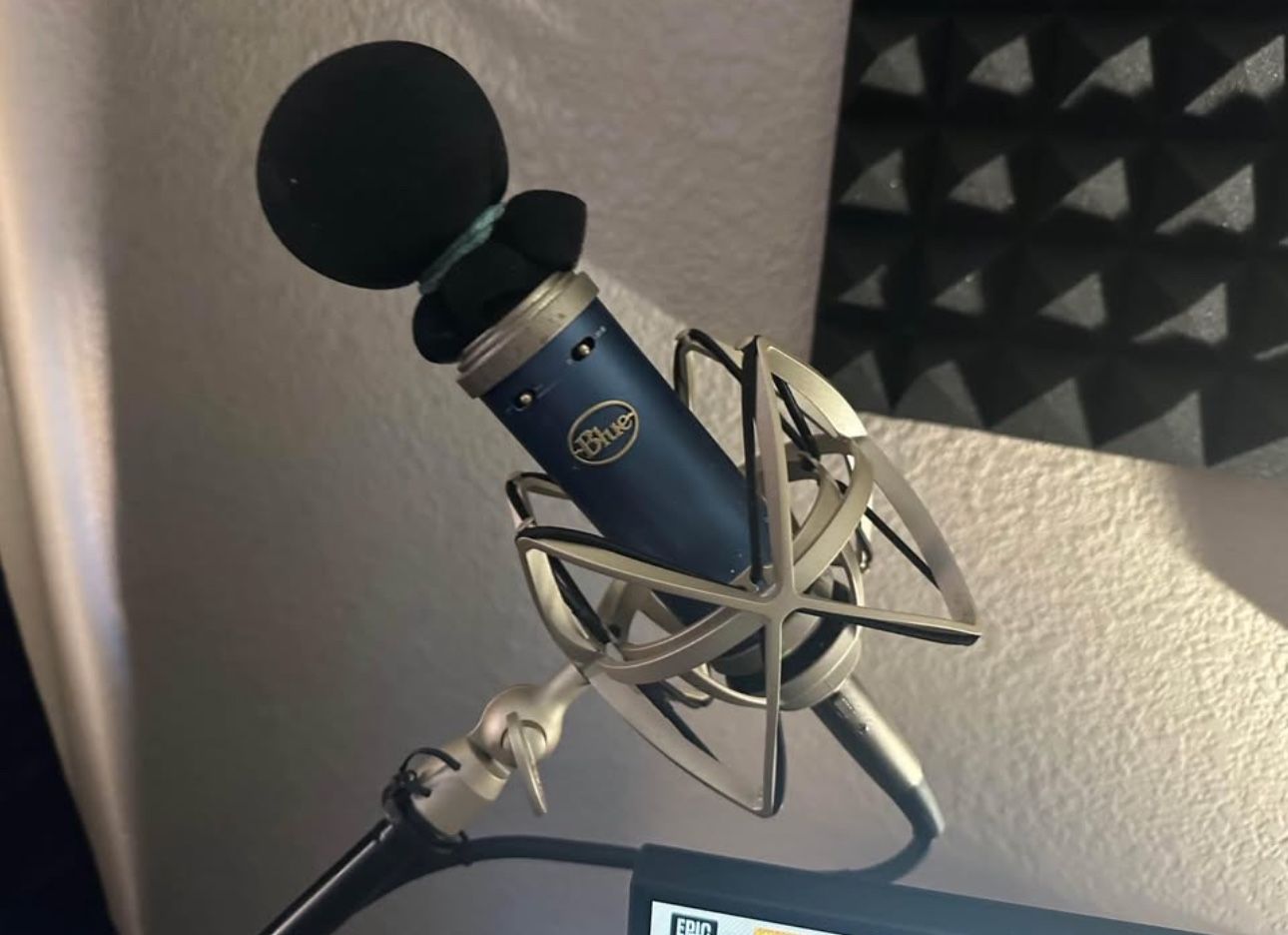 Blue Bird XLR Microphone