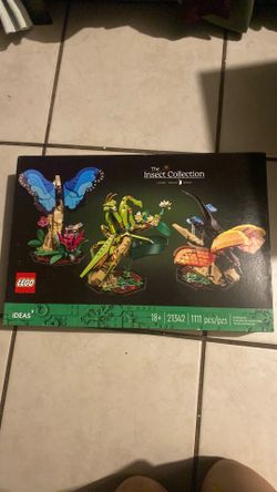 The insect collection