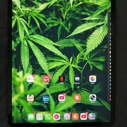 iPad Pro lte 12.9” tercera generación gb 256