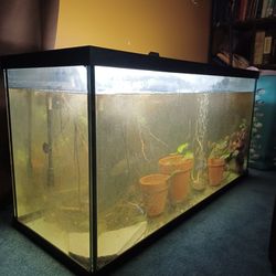 90g Fish Tank 