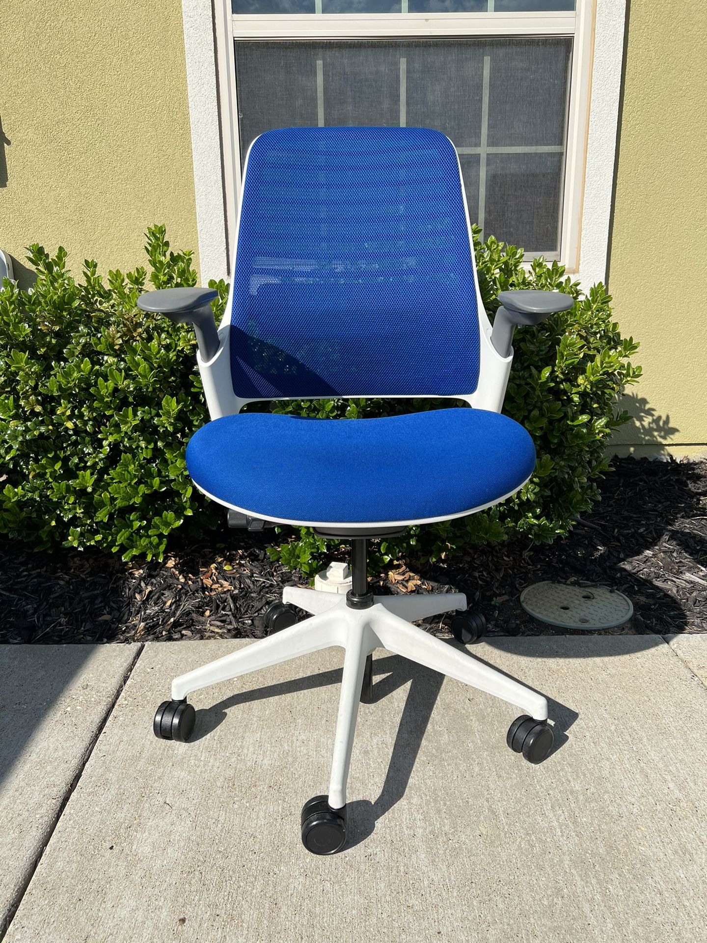 30 + Steelcase Series 1 Office chair /blue /4D Armrest