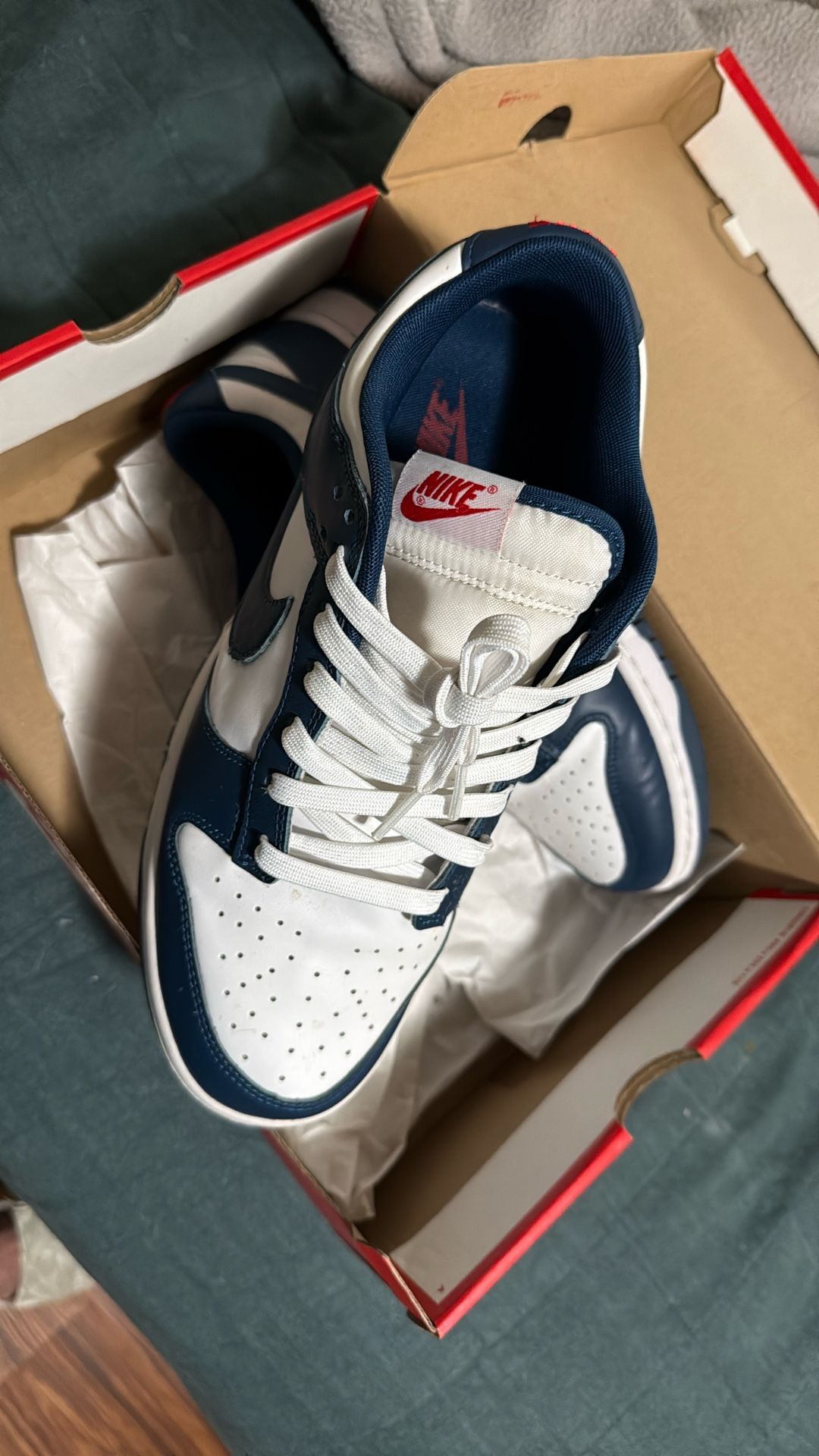 Nike Dunk