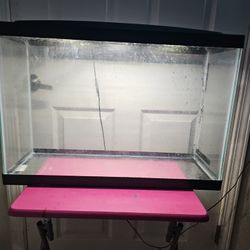 13 Gallon Fish Tank