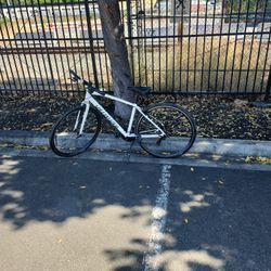 Specialized  